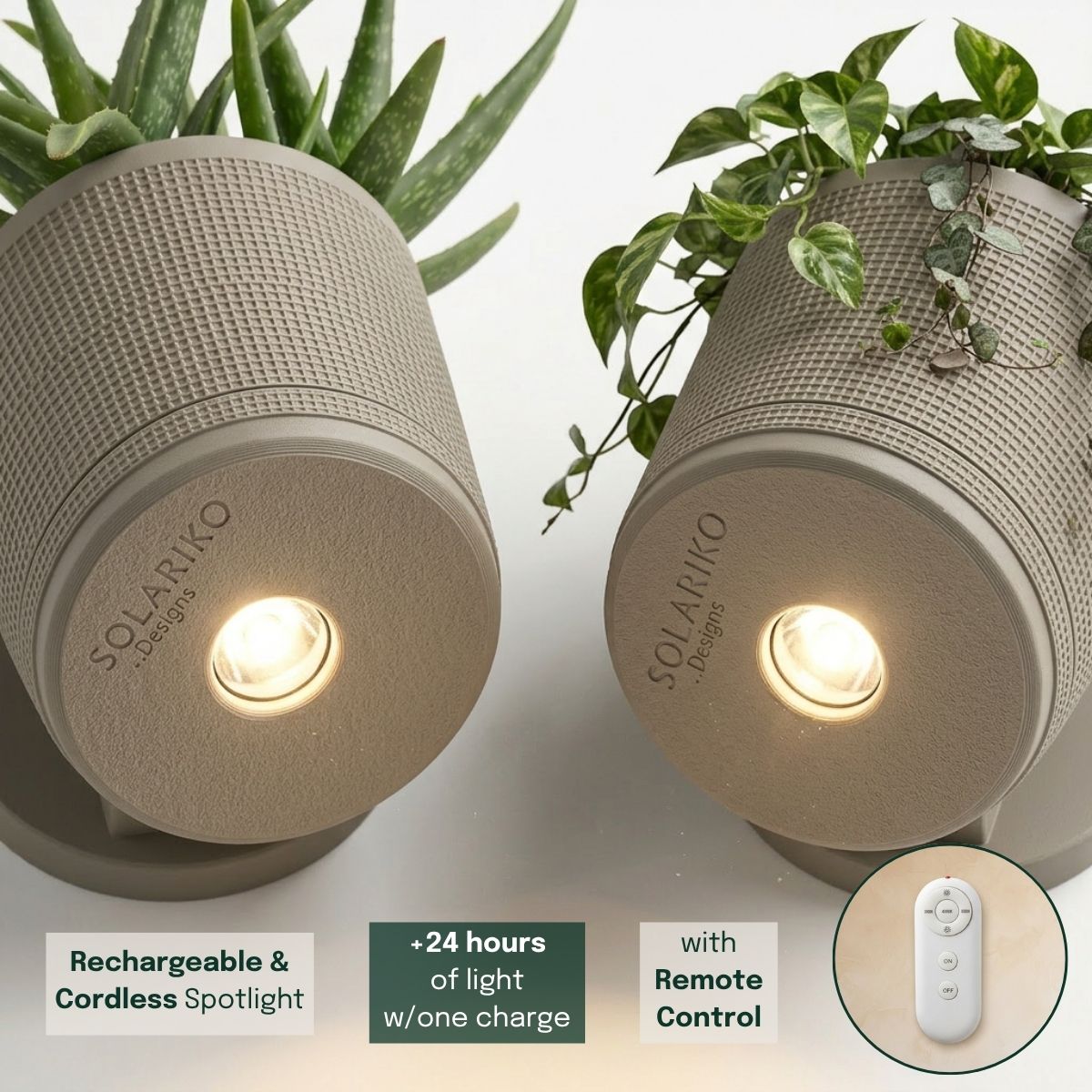 Sconce Planters Bundle