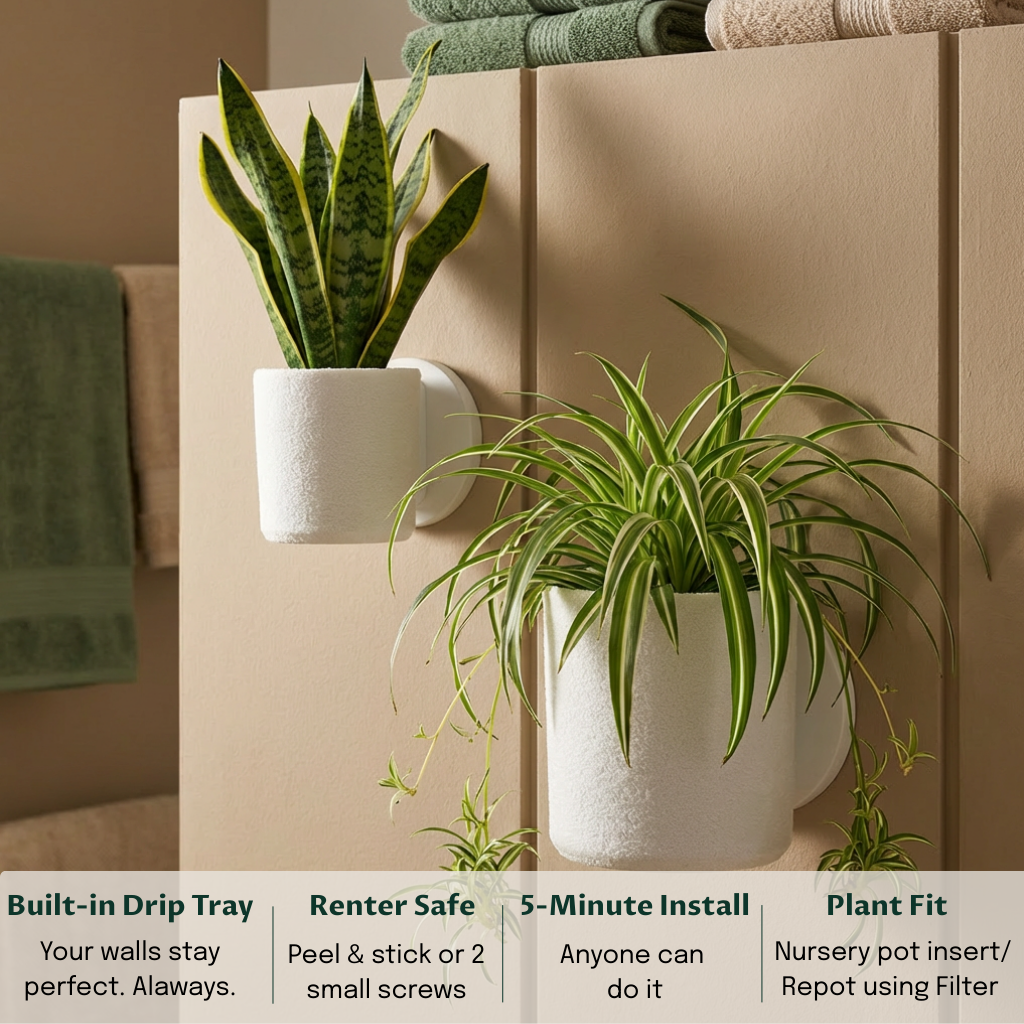 Raw Wall Planters Bundle
