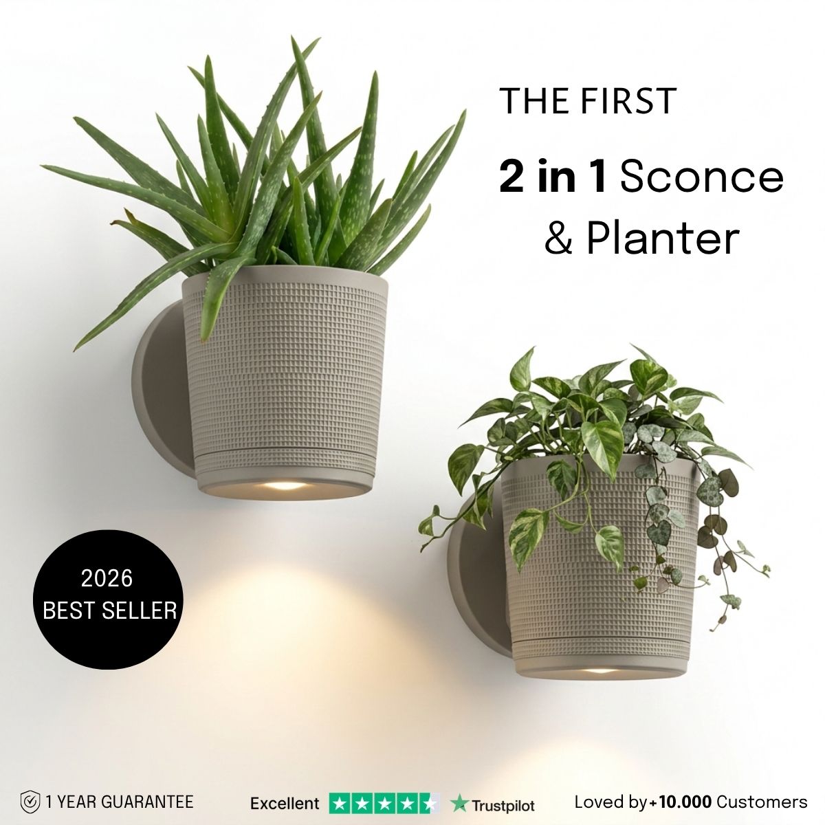 Sconce Planters Bundle