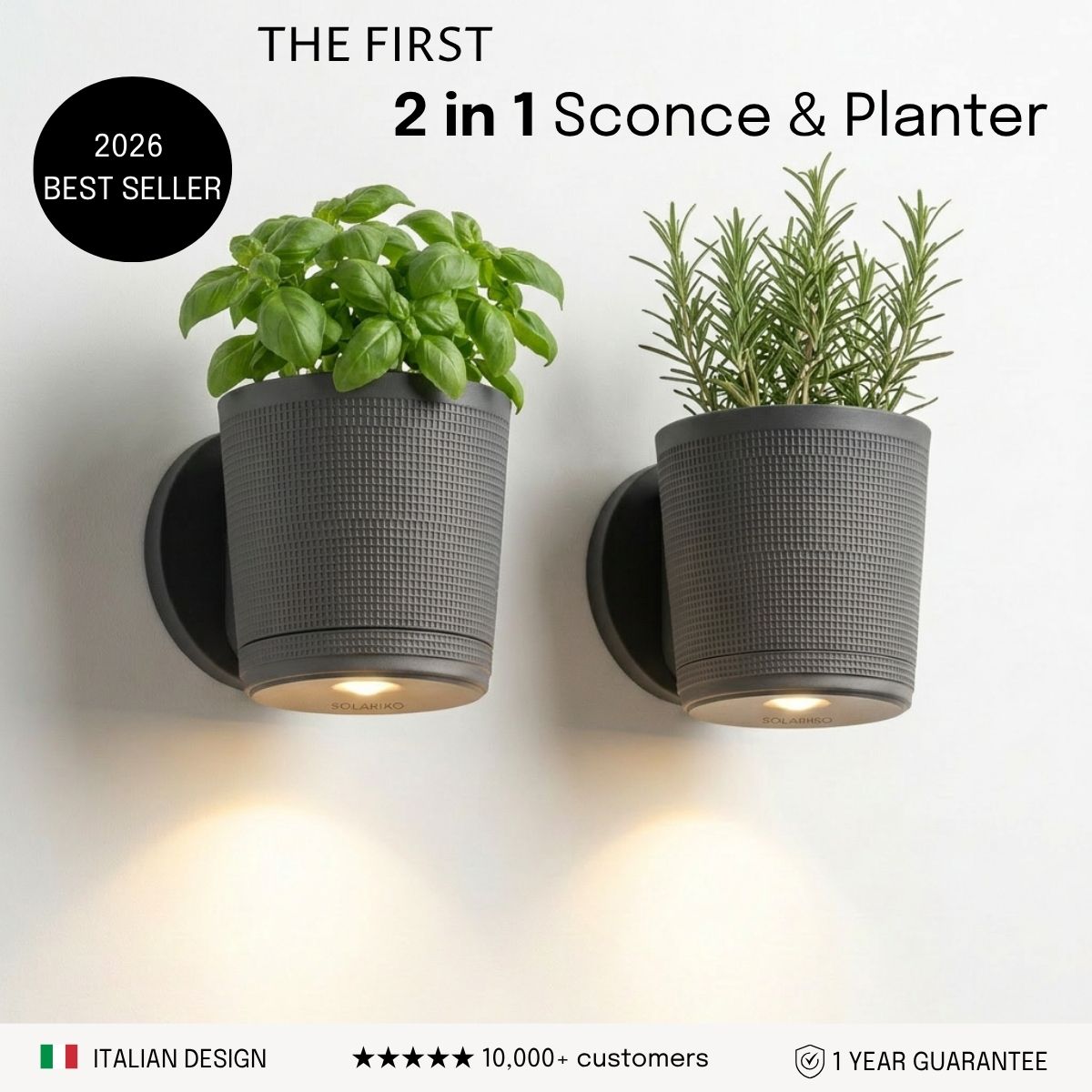 Sconce Planters Bundle