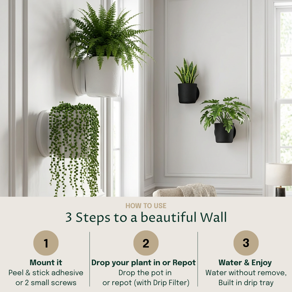 Raw Wall Planters Bundle in white and black, featuring small and large planters for indoor greenery.