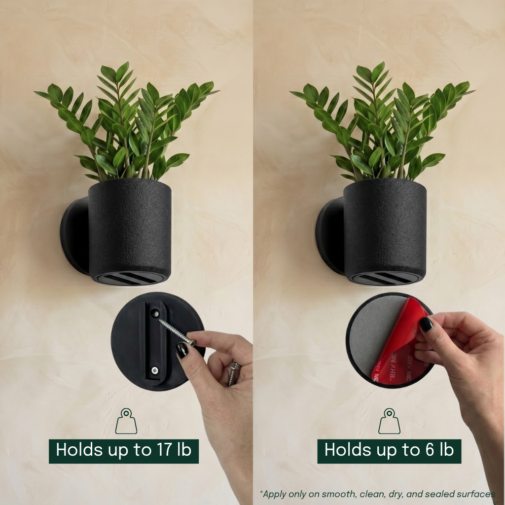 Raw Wall Planters Bundle